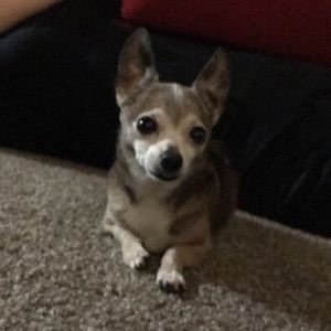 Meet your Posher, Flor